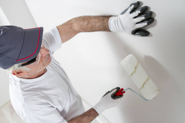 Alturas, FL Mold Removal Company