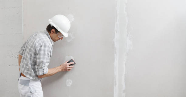 Best Real Estate Mold Inspection  in Alturas, FL