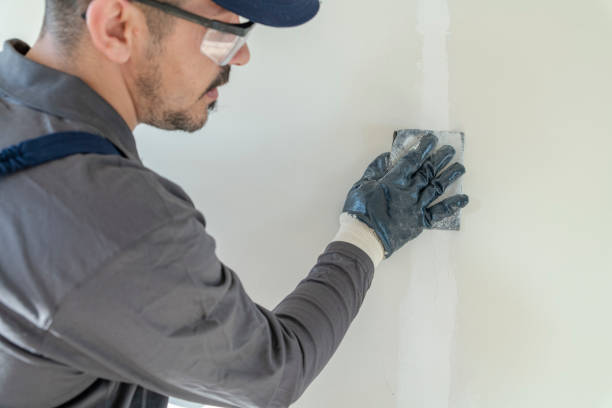 Best Mold Removal for HVAC Installations  in Alturas, FL