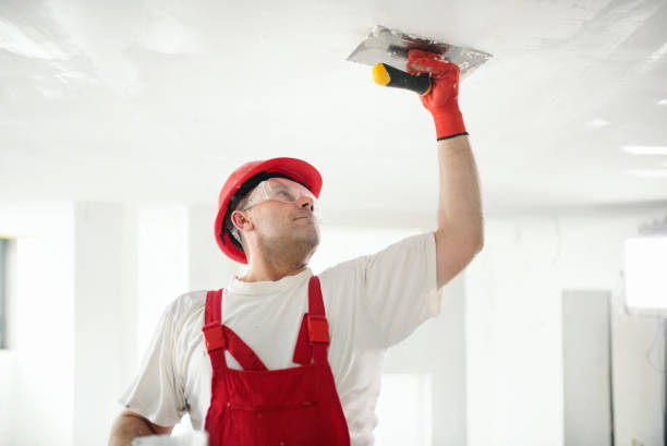 Alturas, FL Mold Removal Pros