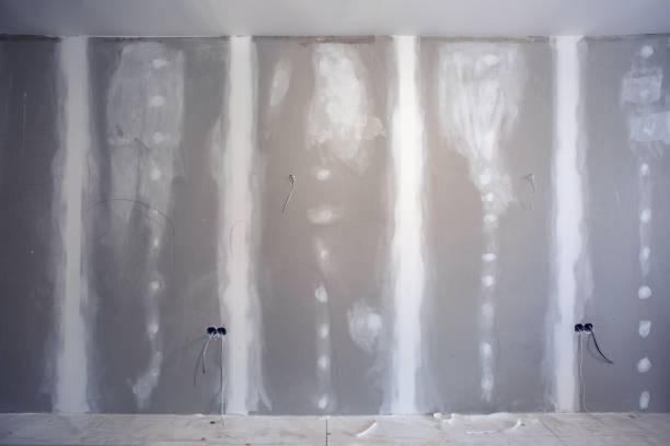 Best Mold-Related Health Consultation  in Alturas, FL